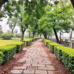 The Journey to IIMs: Cracking CAT with Strategy and Persistence