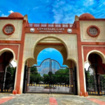 Best Colleges in India for Students Interested in Artificial Intelligence!